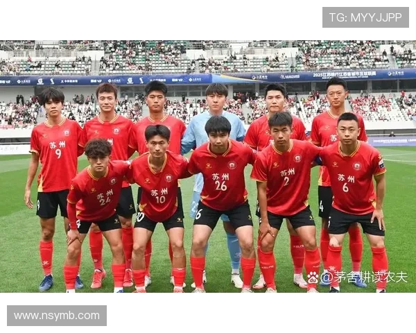 南京足球队状态变革引发热议球迷期待新篇章的崛起与挑战