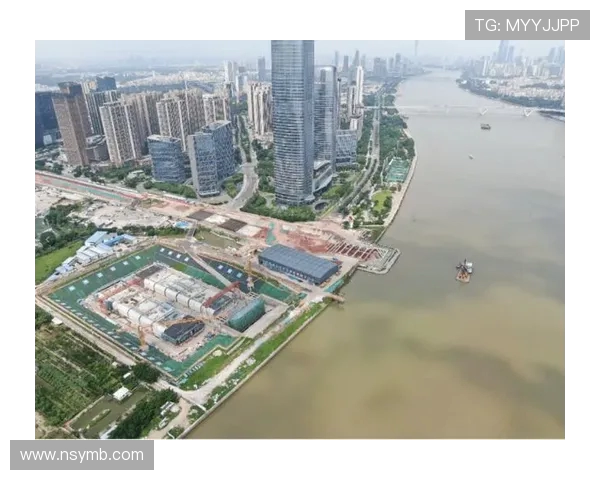 广州乒乓球队转型之路揭秘：从传统强队到现代化竞技新标杆