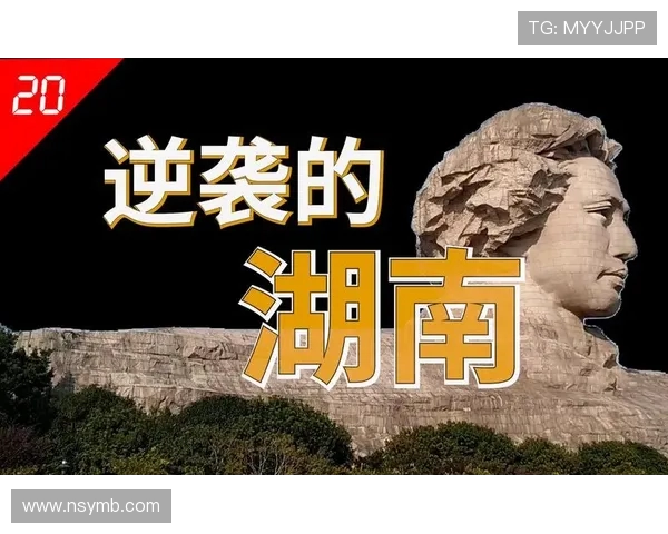 广州排球队的崛起之路：从默默无闻到杯赛荣耀的成长历程