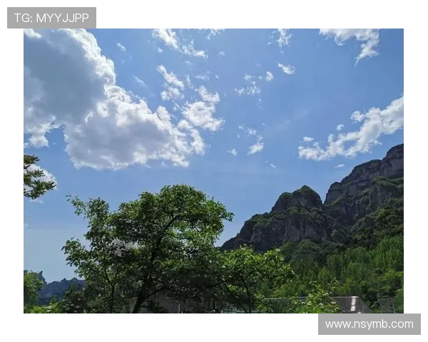 李伟独家分享篮球心得与技巧助你成为场上明星选手