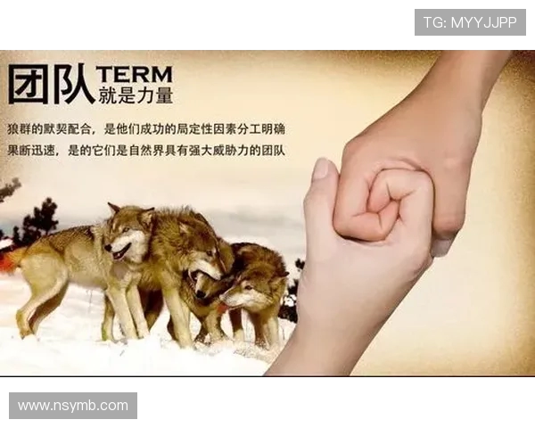 深圳滑板队的默契配合与团队精神探讨 深圳滑板队的默契配合与团队精神探讨