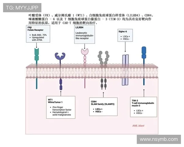 热议CSGO:BLG战队耐力提升背后的策略与挑战分析 热议CSGO:BLG战队耐力提升背后的策略与挑战分析