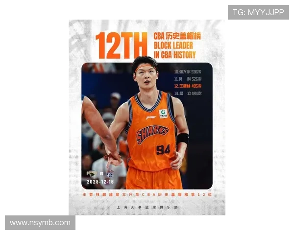 王哲林在CBA赛场的崛起与挑战：从新星到领军人物的奋斗历程