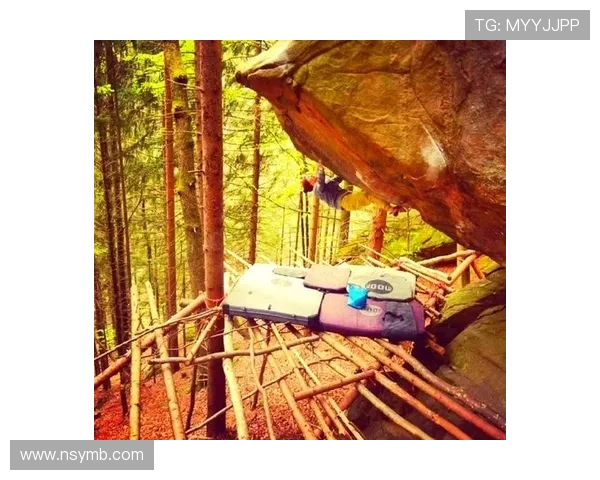 杭州攀岩队的运营揭秘与深度分析探索攀岩运动的魅力与挑战