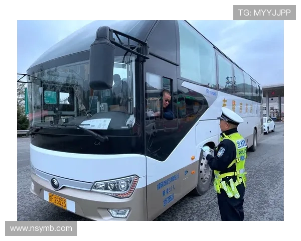 飞盘新手必看：灵活性训练与技巧全面入门指南