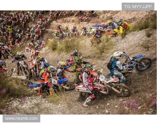 广州极限运动队耐力对比深度解析与训练策略探讨